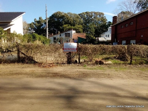 Imagen 4 de 6 de Lote Sobre El Monte