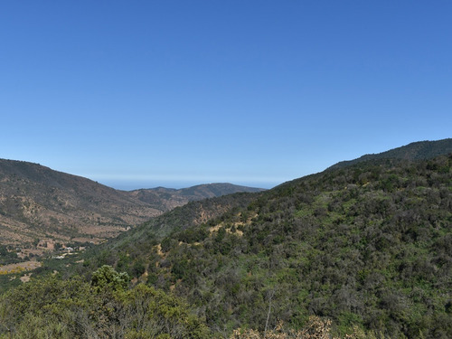 Imagen 2 de 9 de Venta De Sitios A 12 Km De Maitencillo, 1 Ha, Desde Uf 1.350