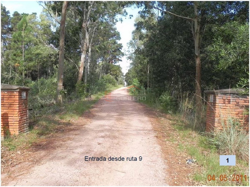 Imagen 2 de 26 de Terreno En Venta En Rocha, Zona De Punta Del Diablo, Bosque De La Viuda