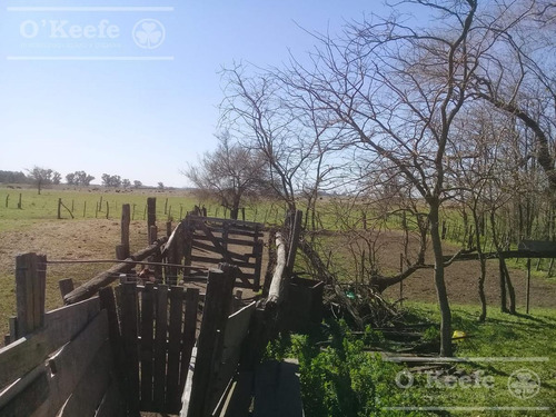 Imagen 19 de 25 de Campo Mixto De 75 Has - Buen Acceso A 3 Km De Ruta 215 - A 1 Hs De Caba