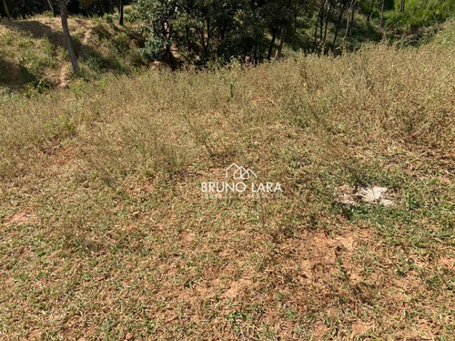 Imagem 30 de 30 de Sítio À Venda Em Igarapé Bairro Jardim Vila Rica - Si0095