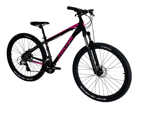 Bicicleta Mtb Rod 29 Foxter 1.0 - Shimano 24vel Freno Disco