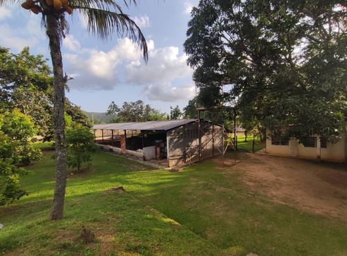 Imagen 23 de 25 de Espectacular Finca En Bejuma Alto De Reyes Carabobo Jc-lp