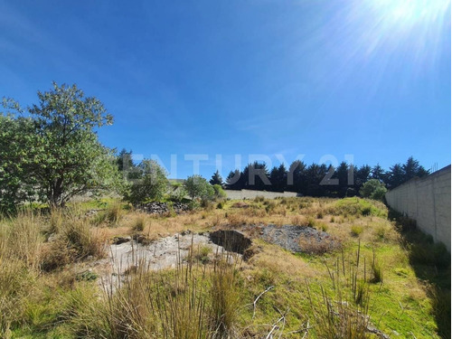 Imagen 8 de 12 de Terreno Venta En Cacalomacan