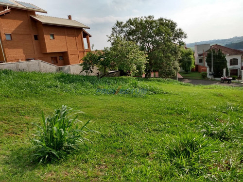 Imagem 9 de 9 de Terreno À Venda Em Jardim Botânico (sousas) - Te274779