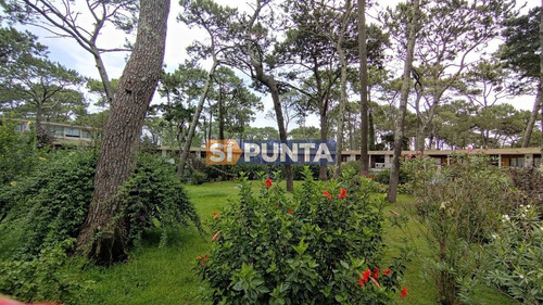 Imagen 13 de 18 de Apartamento En Mansa - Punta Del Este