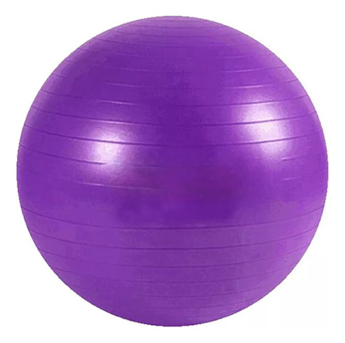 Pelota Yoga Esferodinamia Suiza 65 Cm Gym Pilates Ball