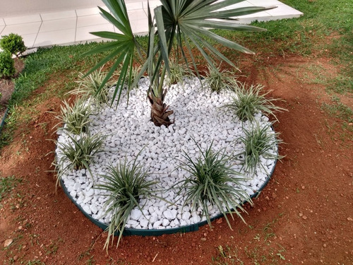 Imagem 1 de 5 de Jardim
