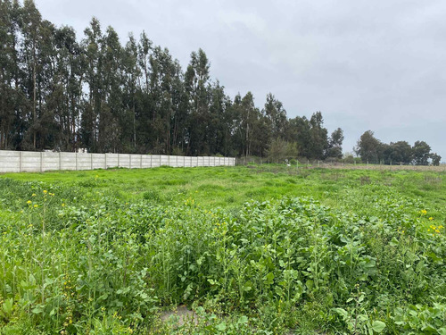 Imagen 2 de 19 de Bajó De Precio! Sitio En Parcelación De Isla De Maipo