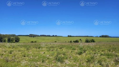 Venta Chacra Jose Ignacio Con Costa Arroyo Anastasio