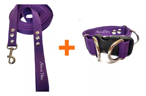 Correa Y Cinturon Seguridad Regulable Doble uso – Alma Pets Accesorios