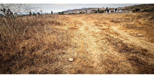 Sitio Plano, Agrícola, De 5.000 M2., En Tabolango, Limache.