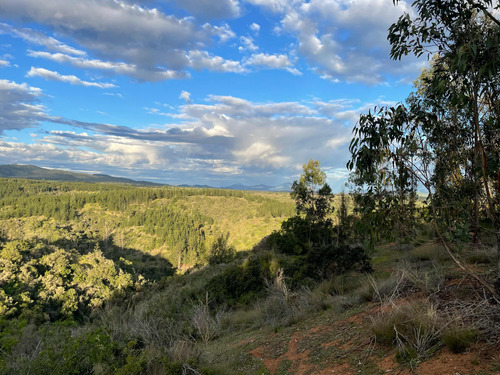 Venta De Parcelas, 5.000 Mts2, Con Agua Y Luz, En Algarrobo