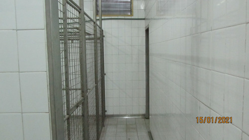 Imagen 10 de 14 de Frigorífico Ciclo 2 En Mataderos, Salida A 2 Calle 1450 M2.