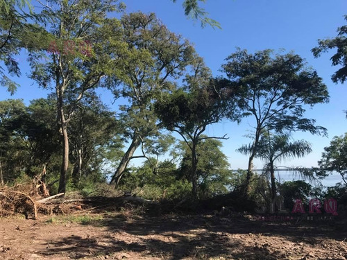 Imagen 18 de 30 de Terreno - Ita Ibate Corrientes Punta Gallino
