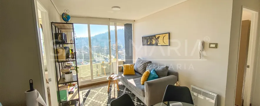 Pedro de valdivia, Concepción - Pedro de Valdivia - Concepción - Biobío