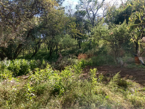 Imagen 9 de 22 de Se Vende Lote De 450 M2 Con Escritura Y Posibilidad De Financiación, Unquillo!!