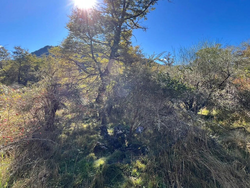 Parcela En La Precordillera Malalcahuello