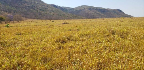 Fazenda De Gado Arinos Mg 2.250 Hectares 65.000,000,00 - 38491