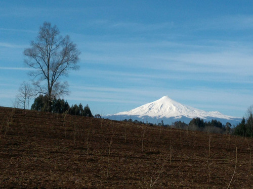 Campo Avellanos Europeos (giffoni) 13kms Villarica