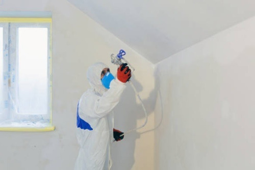 Imagen 6 de 10 de Trabajos Pintura Grandes Superficies Industrial- Residencial