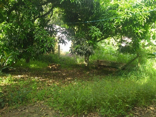 Imagem 14 de 15 de Casa - Lageado - Ref: 402365 - V-mi17326