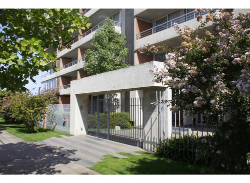 Depto.1 Dormitorio Semiamoblado Ucm, Incap, Mall Plaza Maule