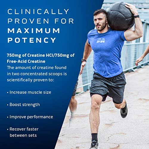 | Muscletech Cell-tech Criador | Fórmula Creatina Hcl | Cons