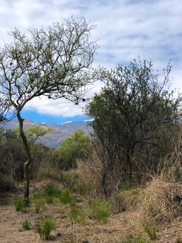 Imagen 12 de 14 de Lote De 2500 M2 Ubicado En Las Chacras - Villa De Las Rosas