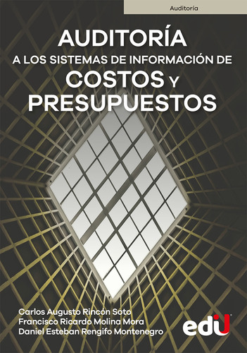 Auditoría A Los Sistemas De Información De Costos Y Presupuestos, De Vários Autores. Editorial Ediciones De La U, Tapa Blanda, Edición 2022 En Español