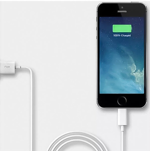 Imagen 4 de 7 de Cable De Conector Apple Lightning A Usb (1 Metro) Blanco