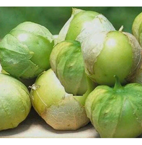 100 Semillas De Tomate Verde + Instructivo