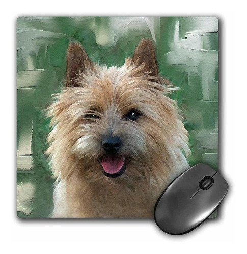 3drose Llc 8 x 8 x 0.25 inches Mouse Pad, Cairn Terrier (