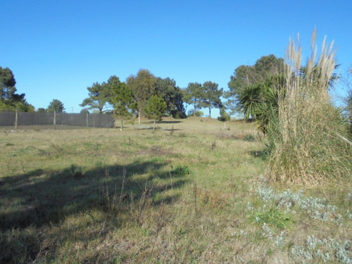 Imagen 4 de 6 de Terreno En Venta En Mar De Ajó