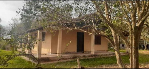 Imagem 10 de 13 de Sítio 6,5 Alqueires, Rica Em Água Com Lago, Casa Sede Com 90m2, 2 Dormitórios, Sítio Ótimo Para Pecuária, Ótima Localização - St00153 - 70457381