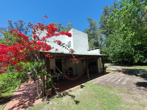 Alquilo Casa Vacacional En Sana Ana. Rodeada De Bosque Y Paz