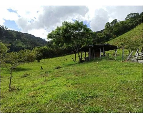 Vendo Finca De 18 Cuadras Para Ganado Y Cerdos A 15 Minutos D Fredonia
