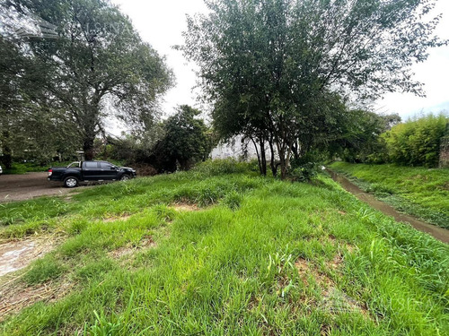 Imagen 4 de 23 de Terreno - Barrio Centro