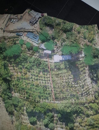 Terreno En Valle Del Elqui 5.000m2 Con 500 Árboles Frutales