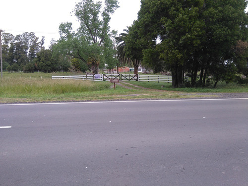 Imagen 2 de 13 de 60 Hectareas Sobre Asfalto, Veronica, Punta Indio