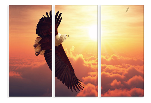 Set De 3 Cuadros Canvas Águila Africana 90x130cm