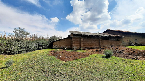 Hermoso Rancho De 10 Hectáreas Con Casa