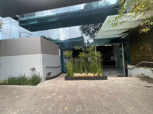 Oficina En Renta En Lomas De Chapultepec