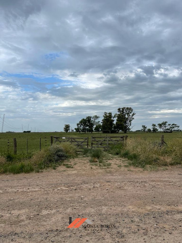 Campo En Venta, Ranchos