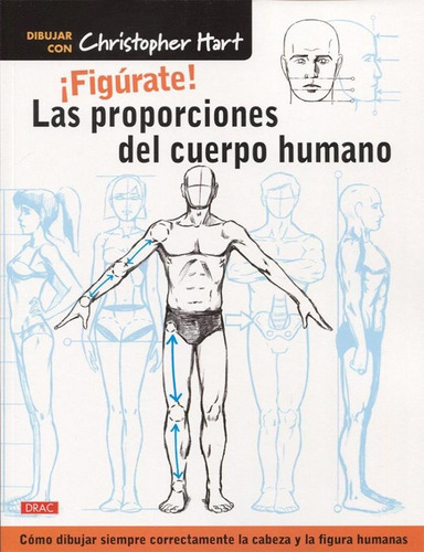 Figurate! Las Proporciones Del Cuerpo Humano - Hart