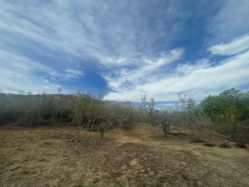 Terreno En Venta En Carretera Nacional En Monterrey