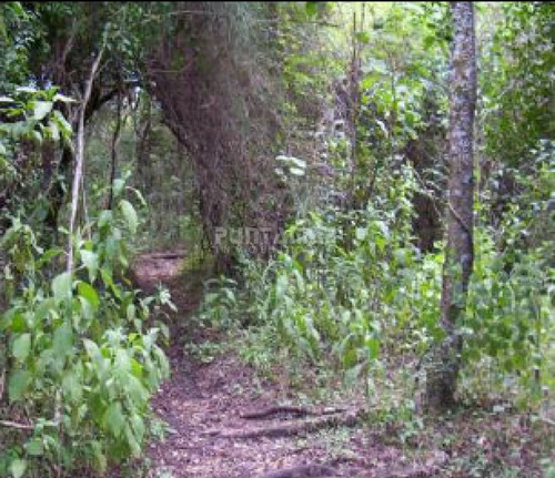 Venta De Excepcional Campo Sobre Río Uruguay- Ref: 211476