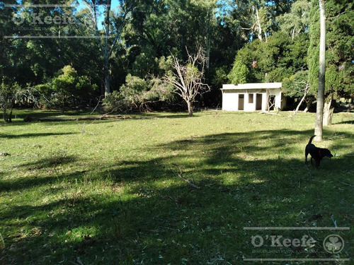 14 Has En Punta Indio Chacra En Venta, Monte Forestal - Retasada!