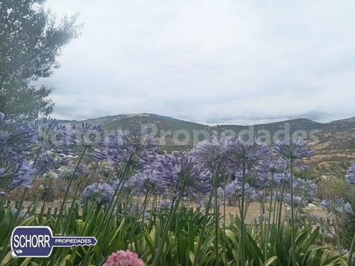 Parcela En Venta En Pencahue