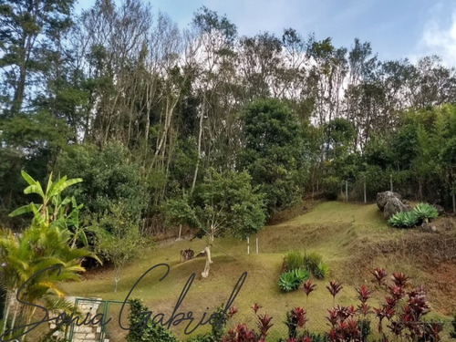 Imagem 6 de 9 de Casa À Venda No Condomínio Chácaras Do Lago Em Vinhedo/sp. - Ca001860 - 68394270